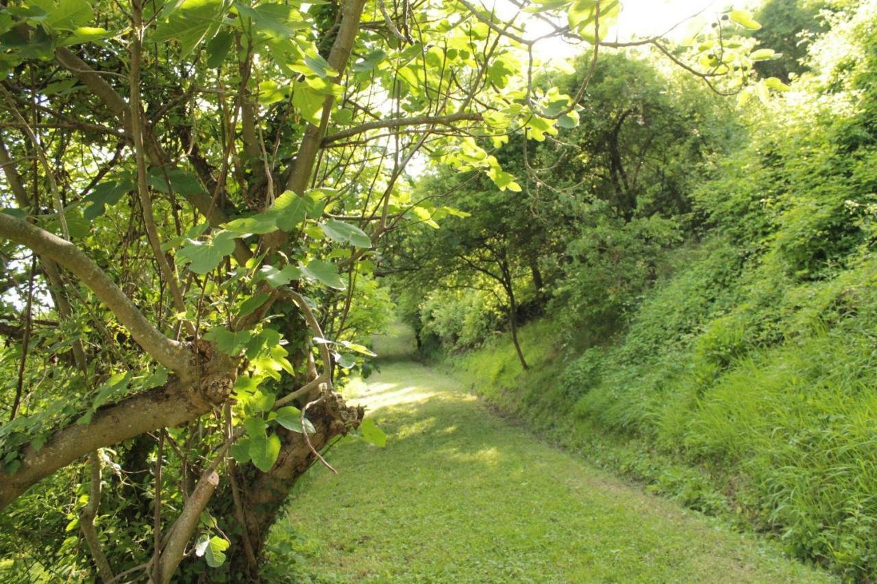 BoscoBo - Relax&Natura Bolonha Exterior foto